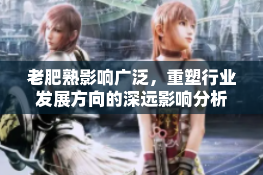 老肥熟影响广泛，重塑行业发展方向的深远影响分析