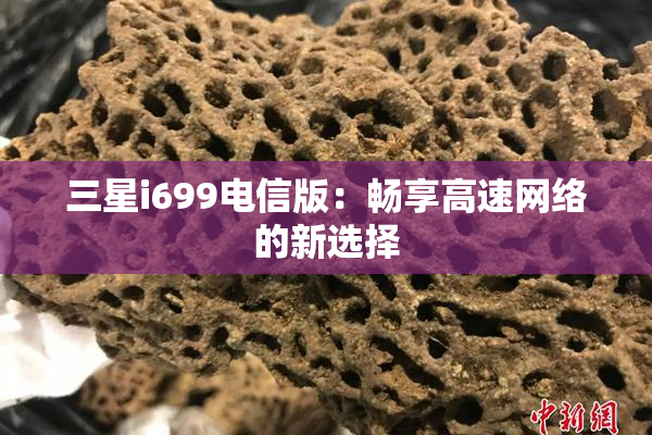 三星i699电信版：畅享高速网络的新选择