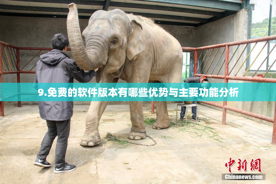 9.免费的软件版本有哪些优势与主要功能分析