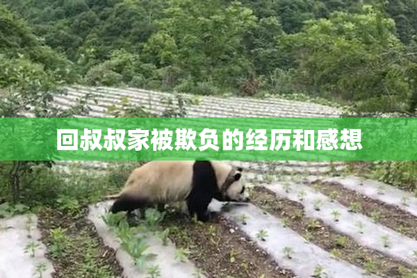 回叔叔家被欺负的经历和感想