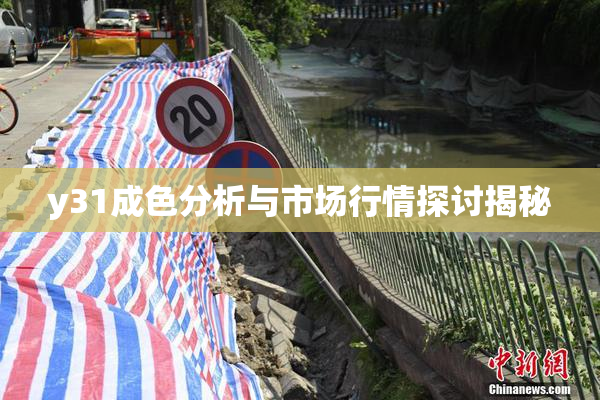 y31成色分析与市场行情探讨揭秘
