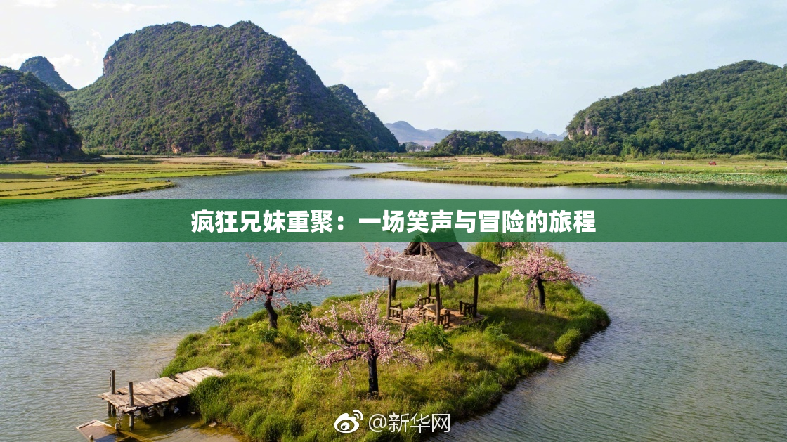 疯狂兄妹重聚：一场笑声与冒险的旅程