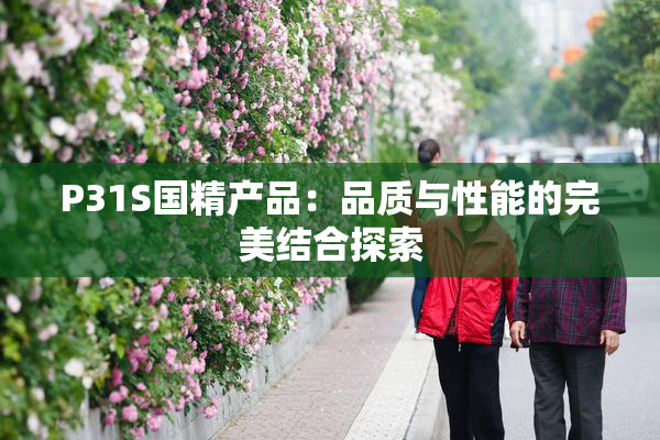 P31S国精产品：品质与性能的完美结合探索