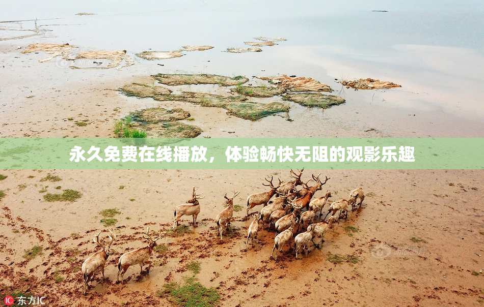 永久免费在线播放，体验畅快无阻的观影乐趣