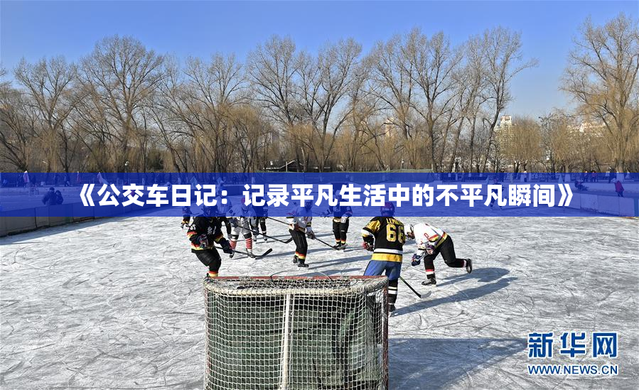 《公交车日记：记录平凡生活中的不平凡瞬间》