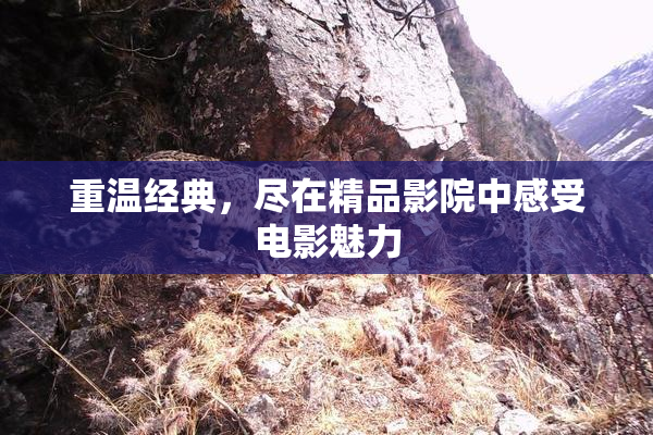 重温经典，尽在精品影院中感受电影魅力