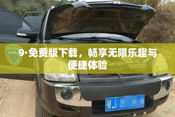 9·免费版下载，畅享无限乐趣与便捷体验