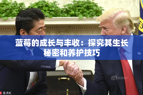 蓝莓的成长与丰收：探究其生长秘密和养护技巧