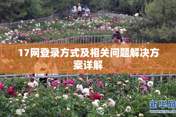 17网登录方式及相关问题解决方案详解