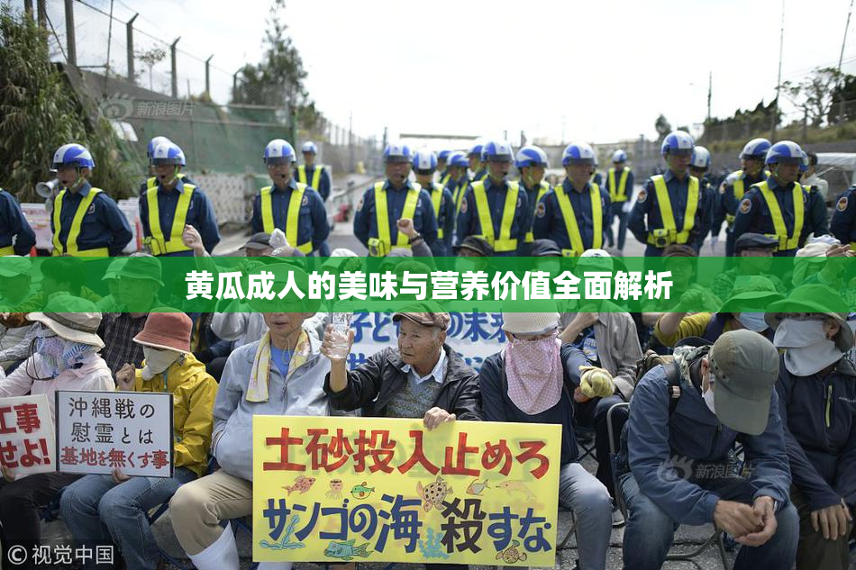 黄瓜成人的美味与营养价值全面解析