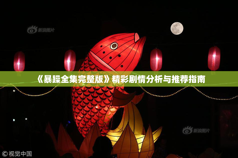 《暴躁全集完整版》精彩剧情分析与推荐指南