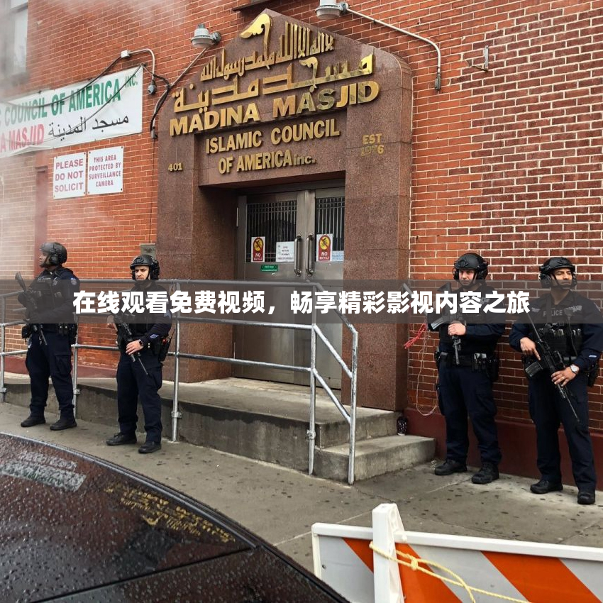 在线观看免费视频，畅享精彩影视内容之旅