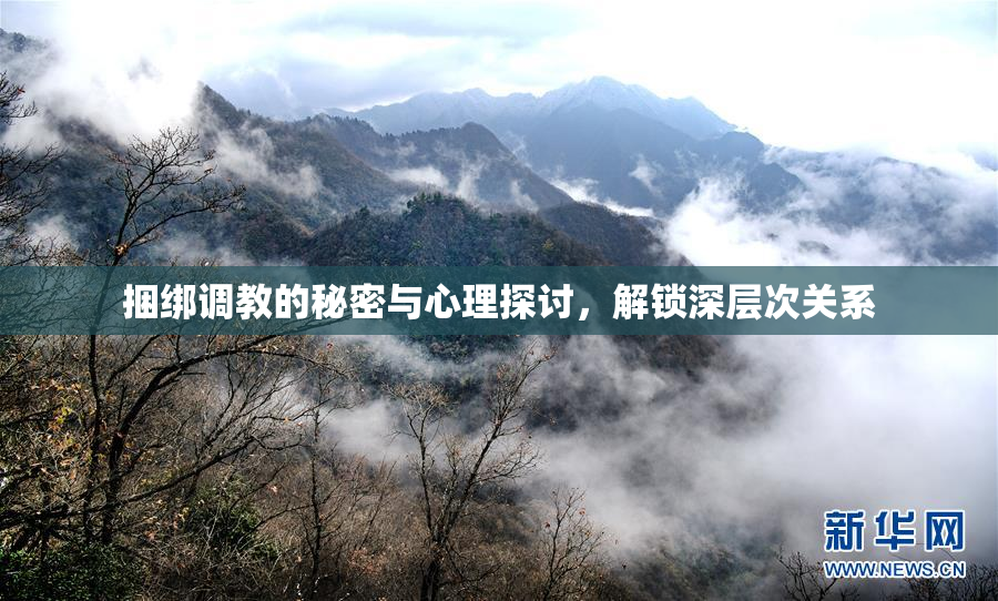 捆绑调教的秘密与心理探讨，解锁深层次关系