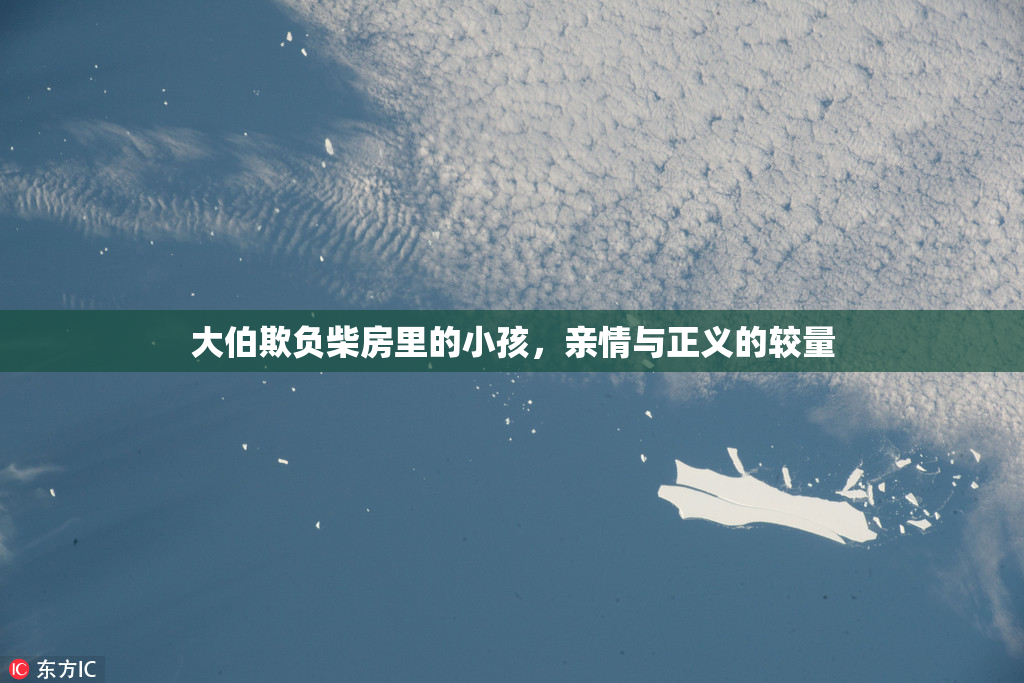 大伯欺负柴房里的小孩，亲情与正义的较量