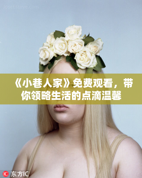 《小巷人家》免费观看，带你领略生活的点滴温馨