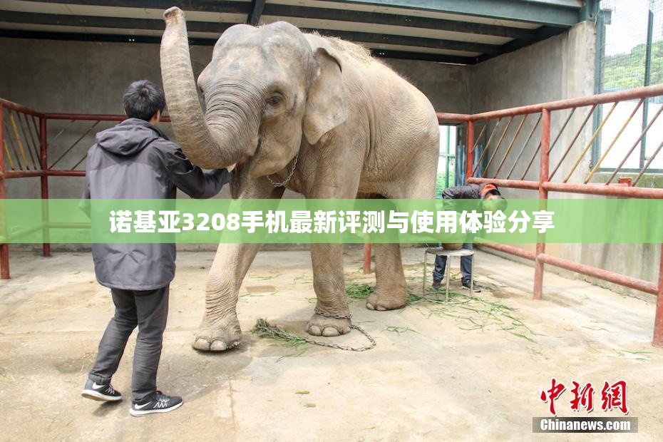 诺基亚3208手机最新评测与使用体验分享