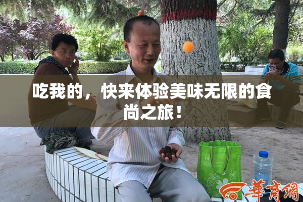 吃我的，快来体验美味无限的食尚之旅！