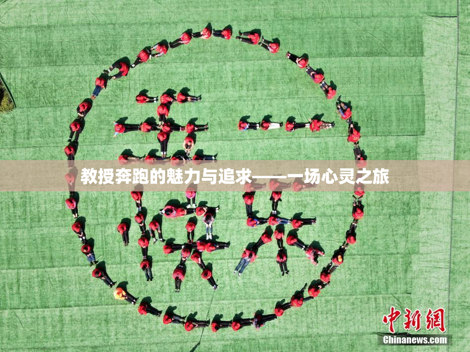 教授奔跑的魅力与追求——一场心灵之旅