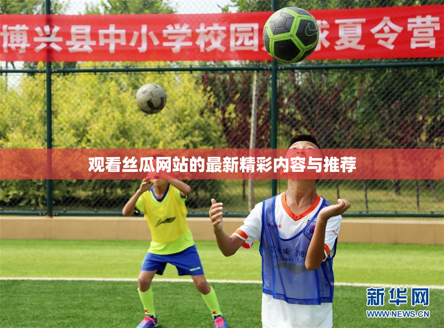 观看丝瓜网站的最新精彩内容与推荐