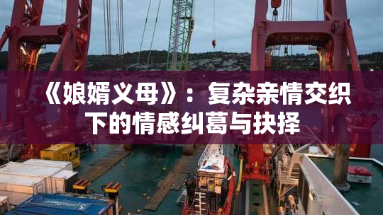 《娘婿义母》：复杂亲情交织下的情感纠葛与抉择