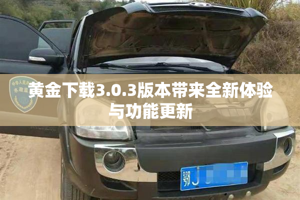黄金下载3.0.3版本带来全新体验与功能更新