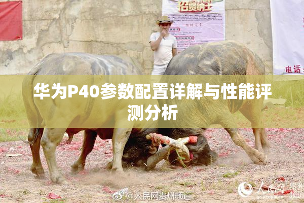 华为P40参数配置详解与性能评测分析