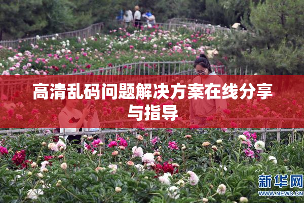 高清乱码问题解决方案在线分享与指导