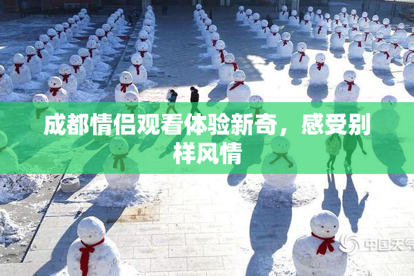 成都情侣观看体验新奇，感受别样风情