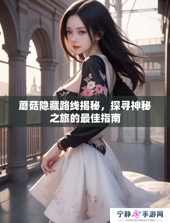 蘑菇隐藏路线揭秘，探寻神秘之旅的最佳指南