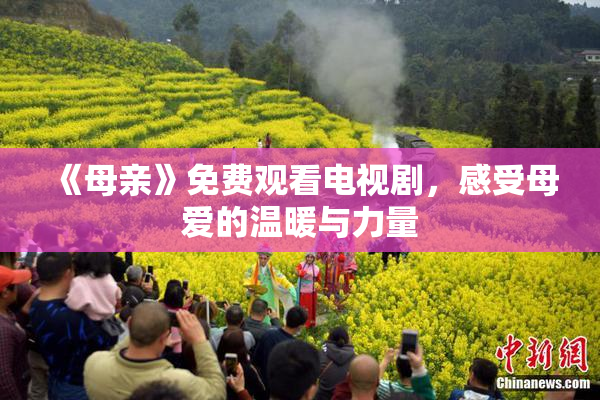 《母亲》免费观看电视剧，感受母爱的温暖与力量