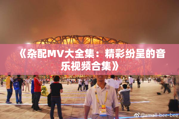 《杂配MV大全集：精彩纷呈的音乐视频合集》