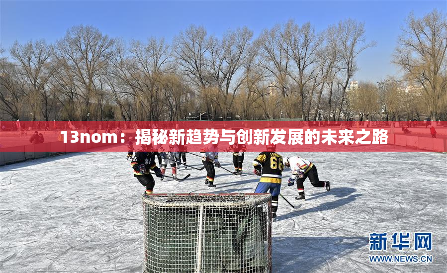 13nom：揭秘新趋势与创新发展的未来之路