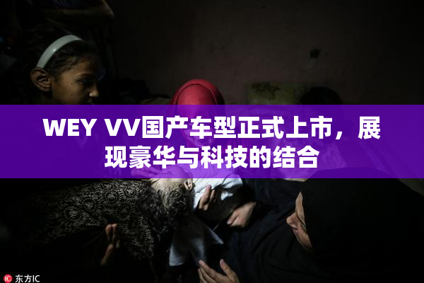 WEY VV国产车型正式上市，展现豪华与科技的结合