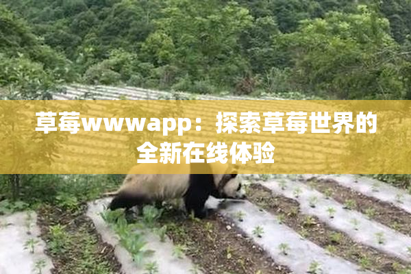 草莓wwwapp：探索草莓世界的全新在线体验