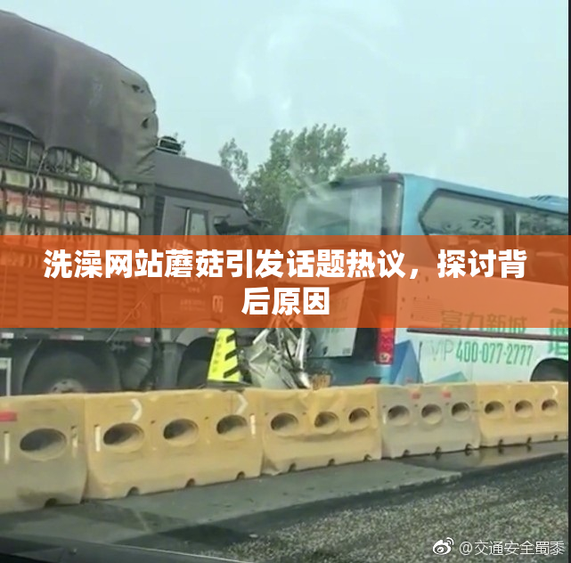 洗澡网站蘑菇引发话题热议，探讨背后原因