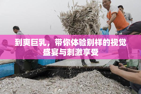 到爽巨乳，带你体验别样的视觉盛宴与刺激享受