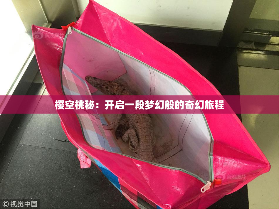 樱空桃秘：开启一段梦幻般的奇幻旅程