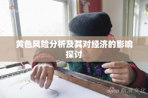 黄色风险分析及其对经济的影响探讨