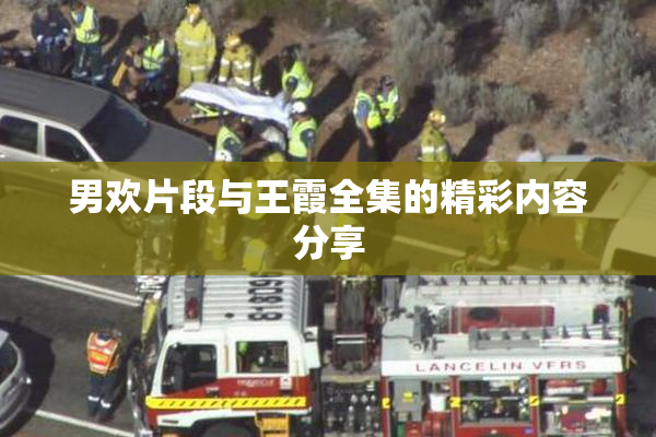 男欢片段与王霞全集的精彩内容分享
