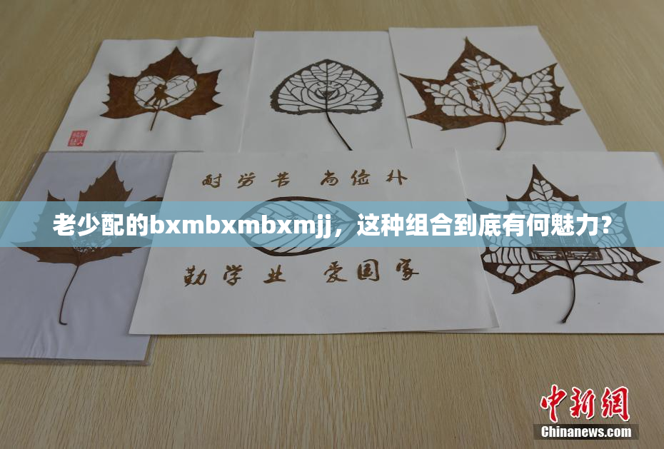 老少配的bxmbxmbxmjj，这种组合到底有何魅力？
