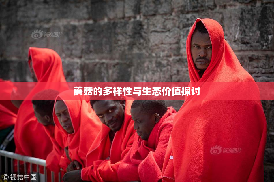 蘑菇的多样性与生态价值探讨