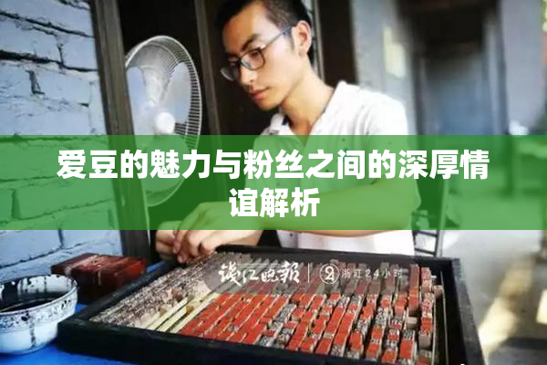 爱豆的魅力与粉丝之间的深厚情谊解析