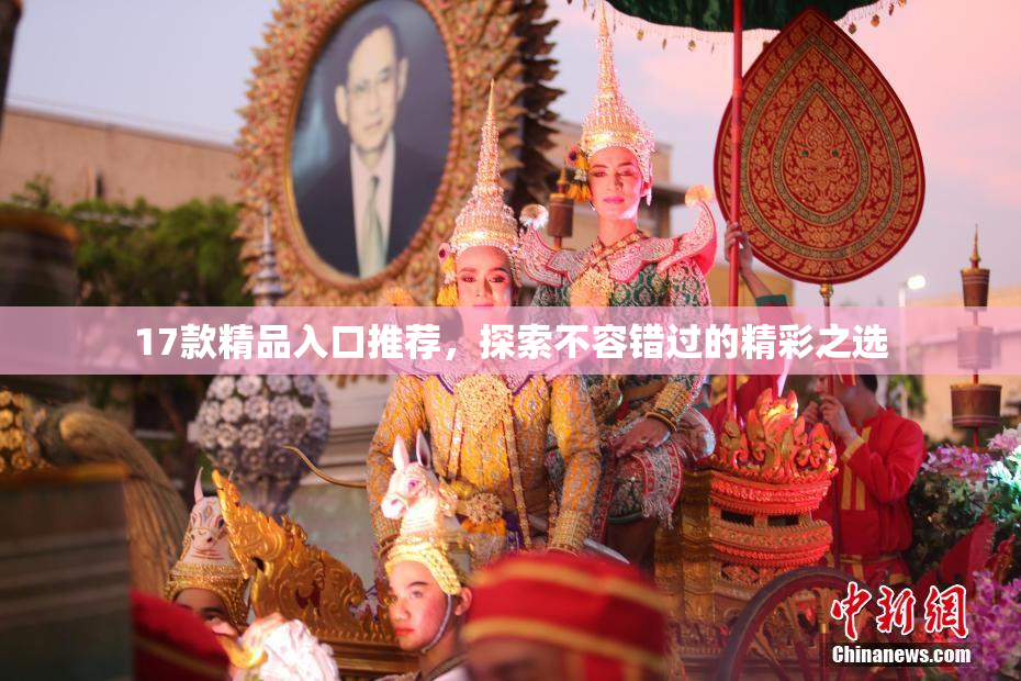17款精品入口推荐，探索不容错过的精彩之选