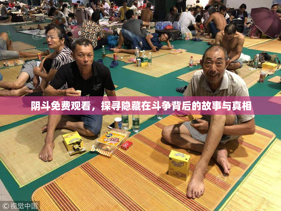 阴斗免费观看，探寻隐藏在斗争背后的故事与真相