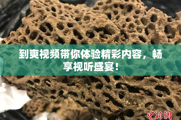 到爽视频带你体验精彩内容，畅享视听盛宴！
