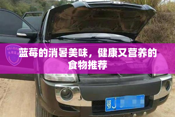 蓝莓的消暑美味，健康又营养的食物推荐