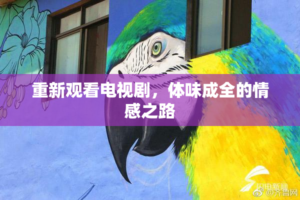 重新观看电视剧，体味成全的情感之路