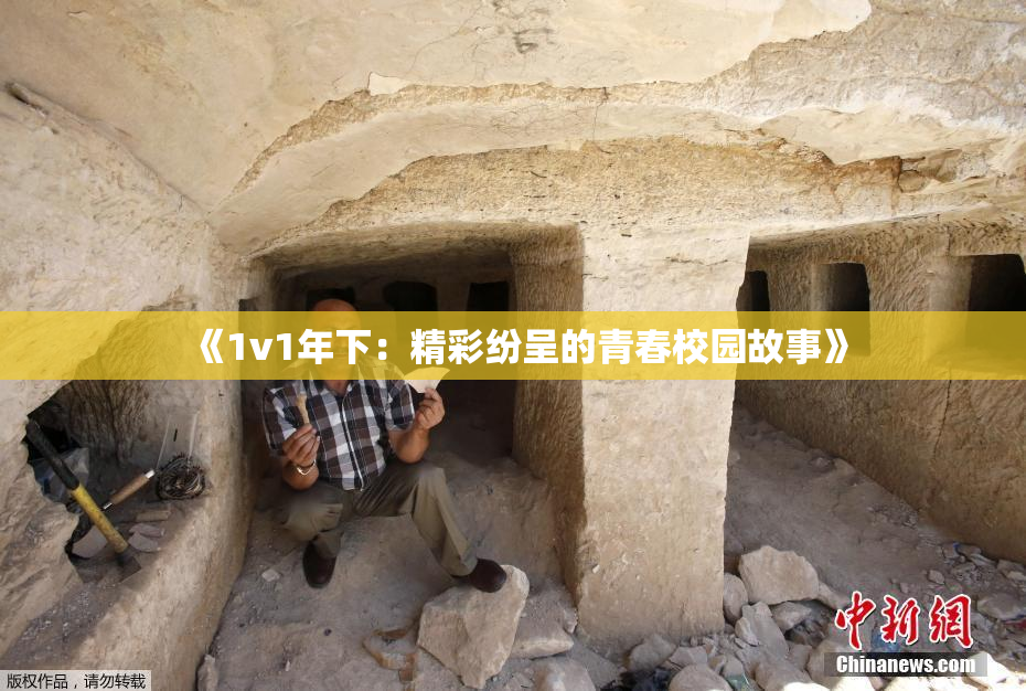 《1v1年下：精彩纷呈的青春校园故事》
