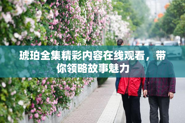 琥珀全集精彩内容在线观看，带你领略故事魅力