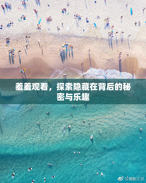 羞羞观看，探索隐藏在背后的秘密与乐趣